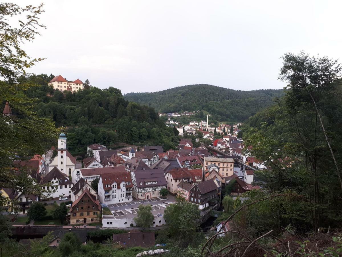 Ferienwohnung Buchberg Exklusiv Neuenburg  Buitenkant foto