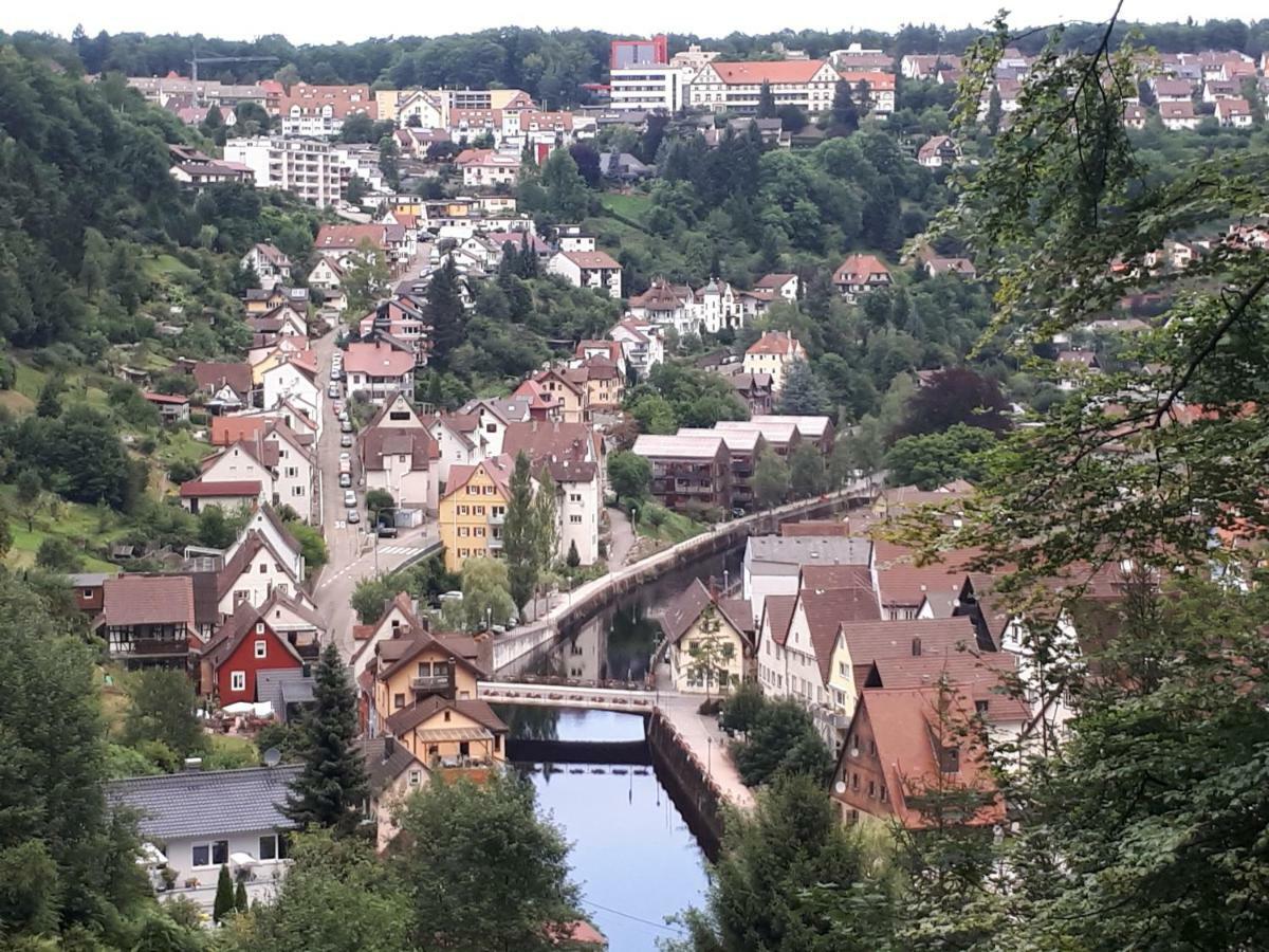 Ferienwohnung Buchberg Exklusiv Neuenburg  Buitenkant foto